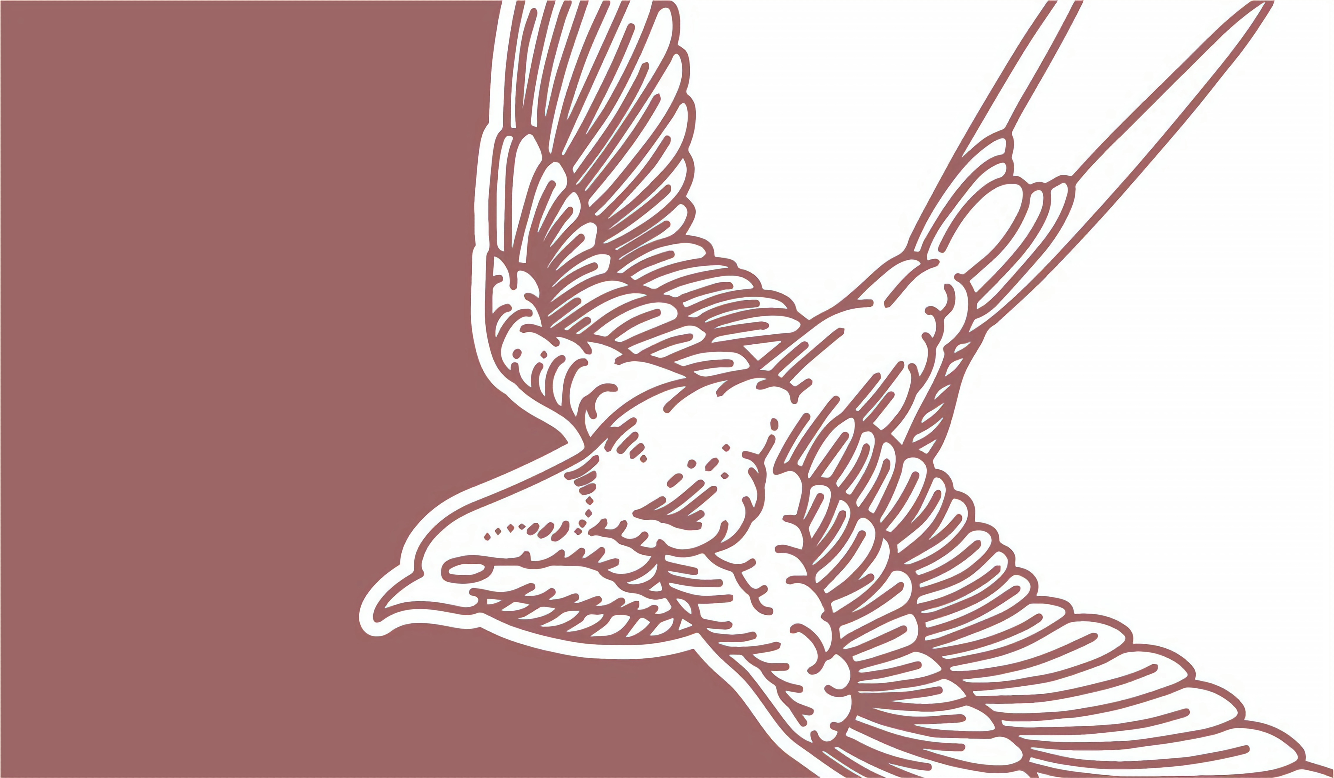 Psicóloga Ana Paula Silveira Sasso